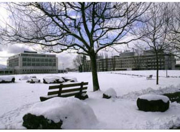 University of Lausanne. Зима в университетском городке