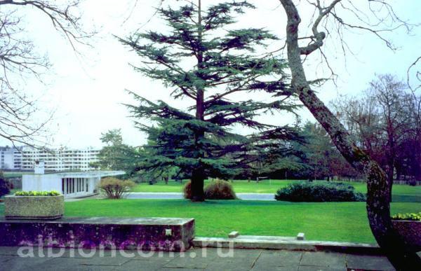 Летние школы в Швейцарии. College Du Leman. Школьный бассейн.