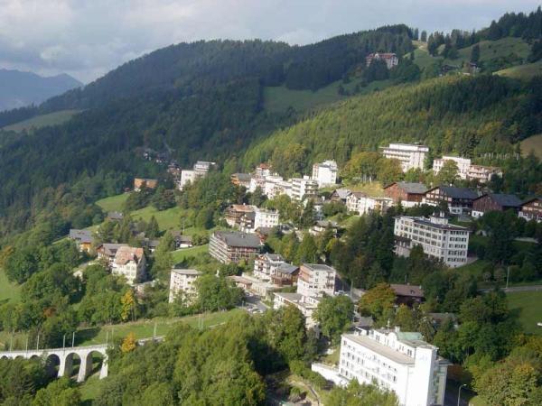 Образование в Швейцарии. Leysin American School