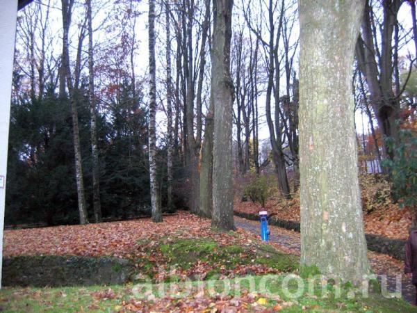 Детский языковой центр Reimlingen на базе школы St. Albert. На территории центра