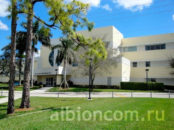 Boca Raton - летняя программа в Lynn University. Вид на территорию и здания кампуса