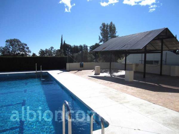 Летняя школа в Испании College Alboran, Marbella. Школьный бассейн