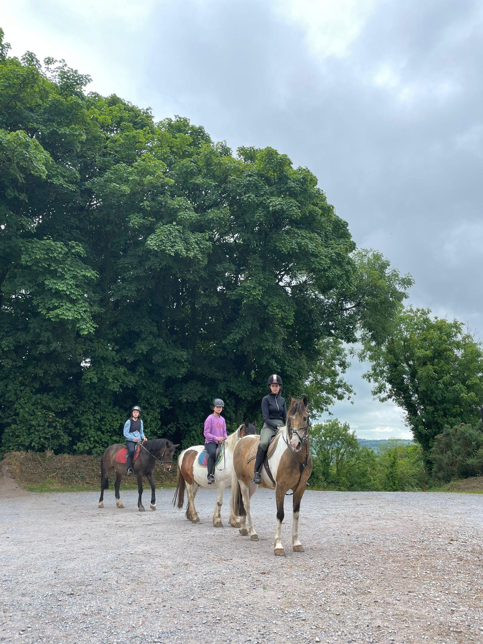 Horse-Riding-Trotting