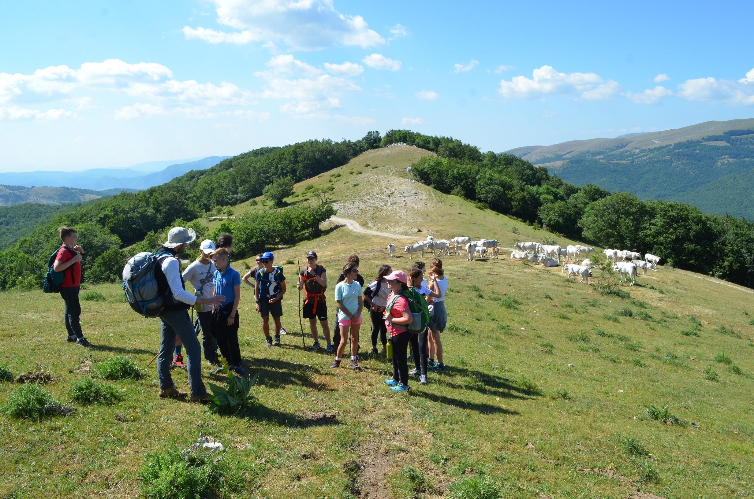 Mountain trek 3