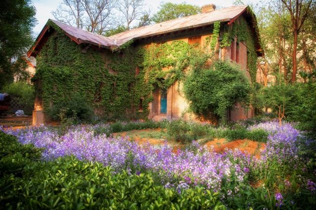 The Yannan Garden