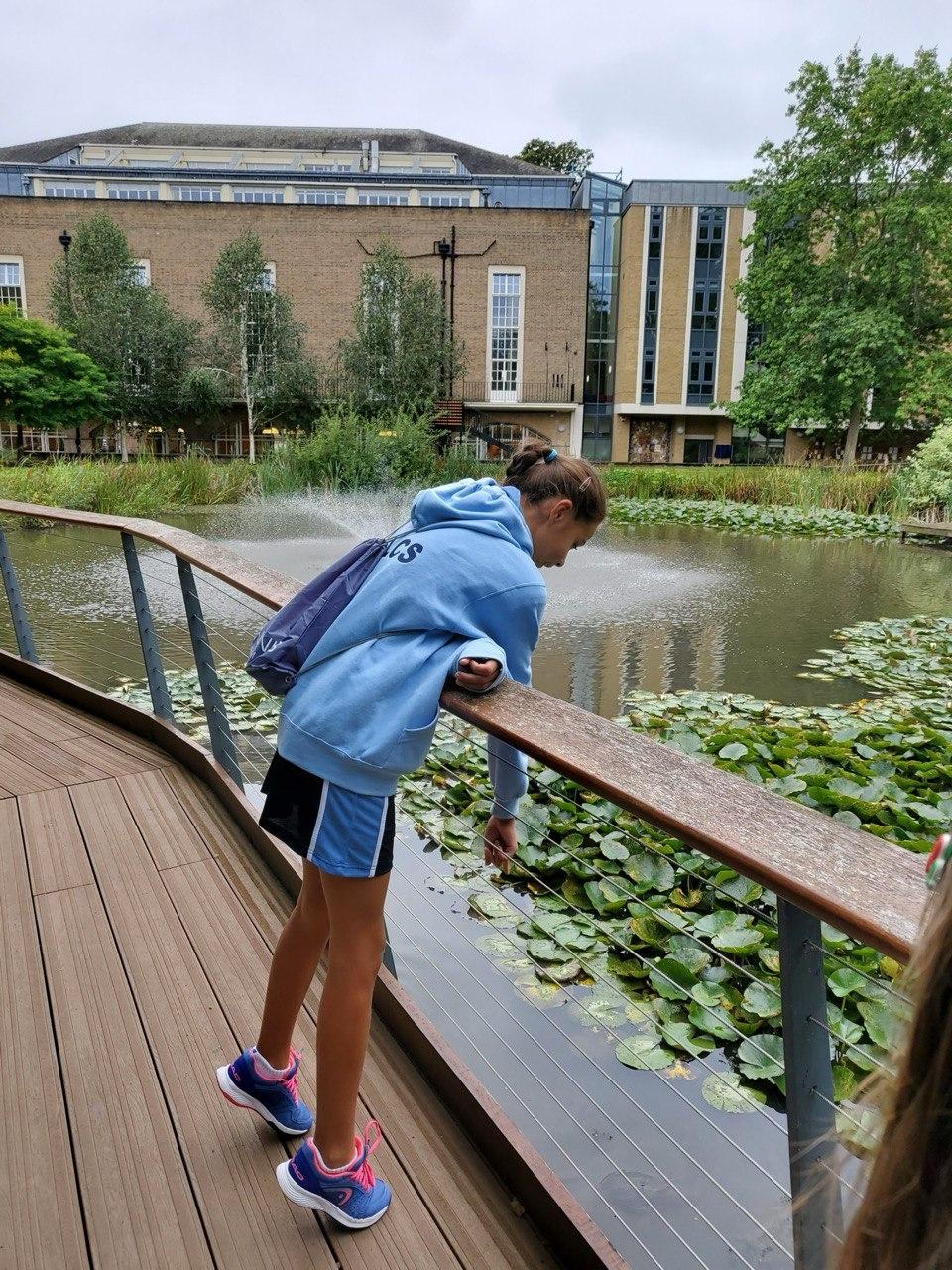 north_london_8