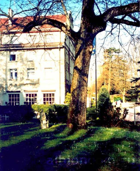На территории школы Institut auf dem Rosenberg - St.Gallen