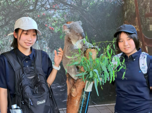 australia7