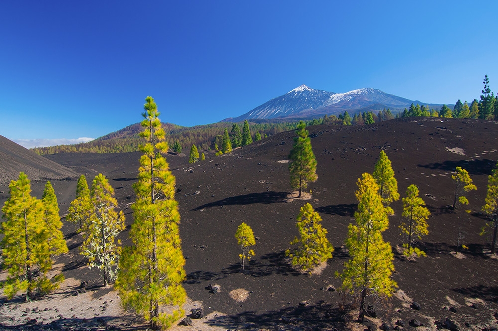 city-tenerife-12