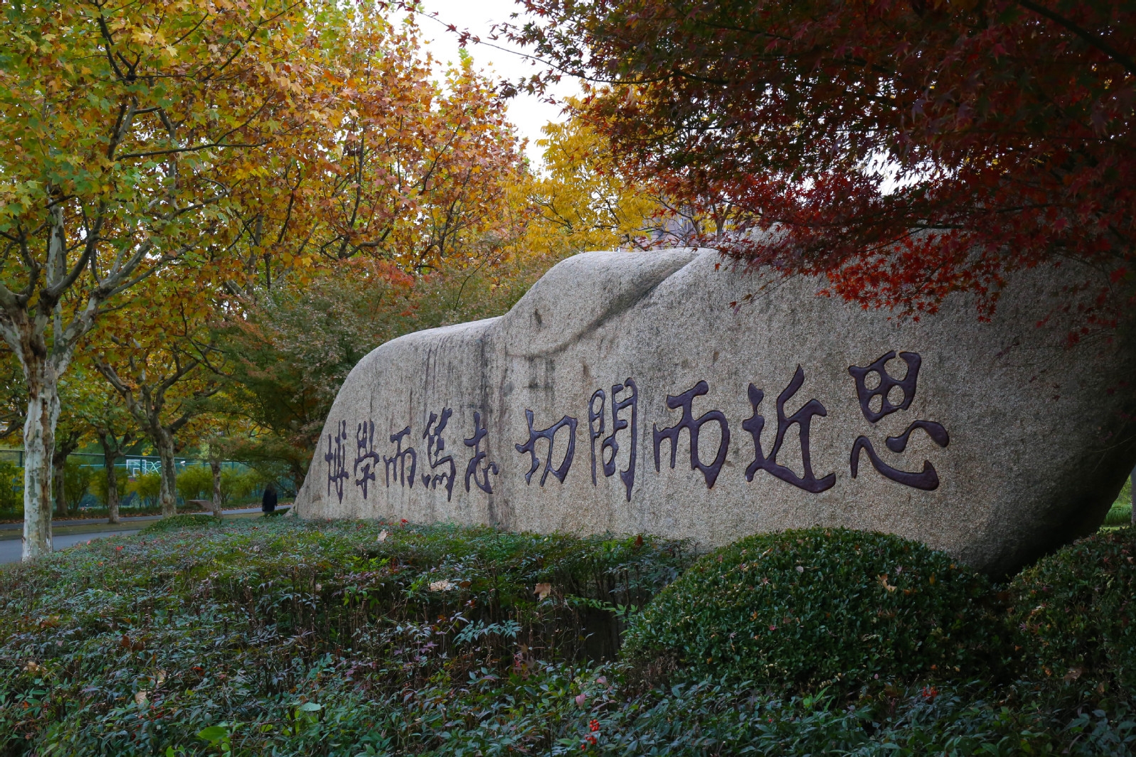 fudan-Jiangwan5