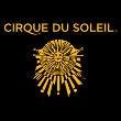 Партнер Cirque du Soleil