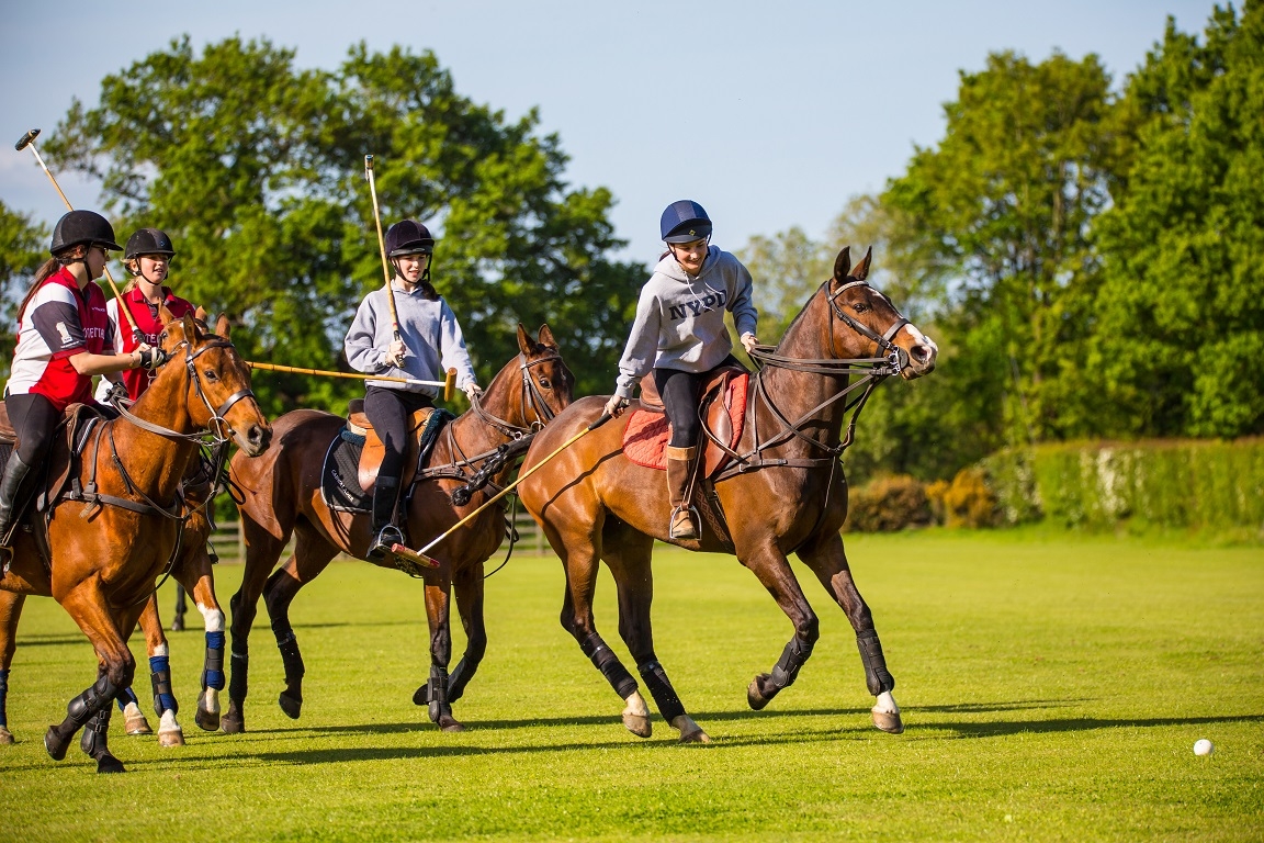 queenswood-Polo
