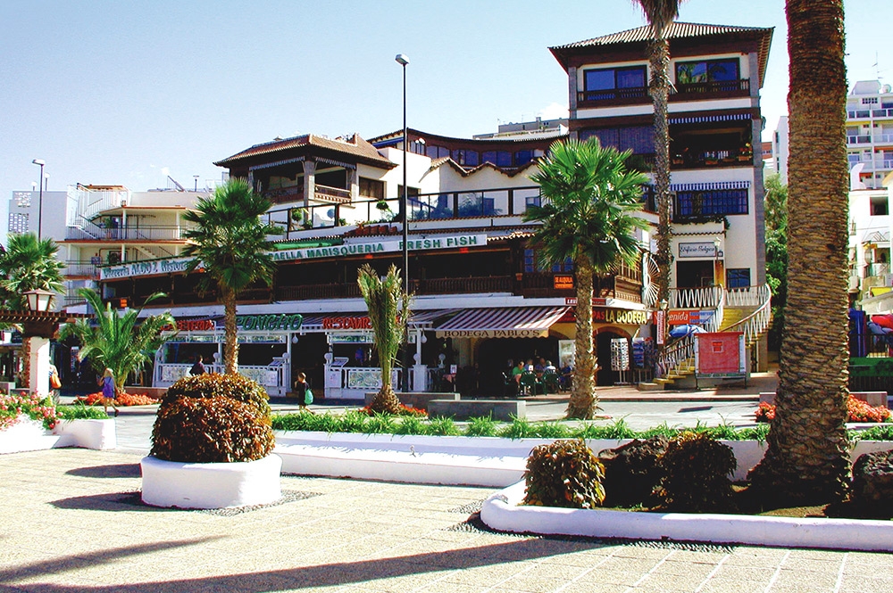 school-tenerife1